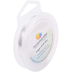 Серебро Круглая медная проволока для изготовления ювелирных изделий, серебряные, 28 датчик, 0.3 мм, около 328.08 футов (100 м) / рулон