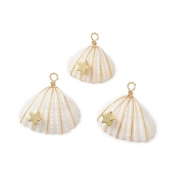 Золотой Подвески из медной проволоки с натуральной спиралью, подвески из ракушек со звездой, золотые, 21~25x20~25x9~10 мм, отверстие : 2 мм