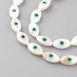 Кремово-белый Сглаз природная пресноводная ракушка, кремово-белые, 15x8x4~5 мм, отверстие : 0.5 мм, около 26 шт / нитка, 14.9 дюйм