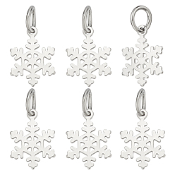 Платина 6шт. 925 подвески-снежинки из стерлингового серебра, с прыжковых колец, родий, платина, 14 мм, Кулон : 11 мм