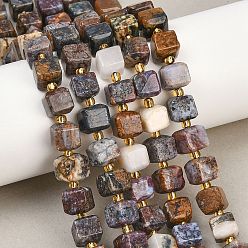 Петерсит Натуральные пиеттеритные бусины, кубические, с бисером, 8~8.5x8x7~8.5 мм, отверстие : 0.8 мм, около 39~40 шт / нитка, 15.35~15.83'' (39~40.2 см)