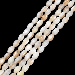 Seashell Color Natural Freshwater Shell Beads Strands, Rice, Seashell Color, 5x3~3.5mm, Hole: 0.4mm, about 81pcs/strand, 15.59 inch(39.6cm)