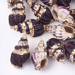 Indigo Spray Painted & Electroplate Spiral Shell Pendants, with Iron Findings, Light Gold, Indigo, 31~43x17~21x15~19mm, Hole: 1.5mm