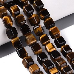 Tiger Eye Natural Tiger Eye Beads Strands, Cuboid, 10~12x9~10x9~10mm, Hole: 0.6~0.9mm, about 32~36pcs/strand, 14.37~16.34(36.5~41.5cm)