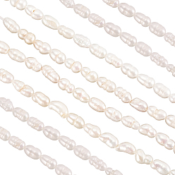 Белый 2 нити сорта натурального культивированного пресноводного жемчуга, идея для подарка Дня матери, рис, белые, 4~5 мм, отверстие : 0.8 мм, около 50~55 шт / нитка, 13.7 дюйм