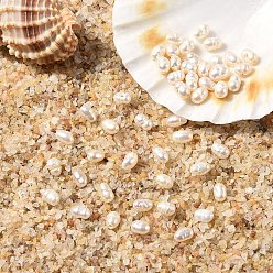Морская Ракушка 10шт. натуральные пресноводные жемчужные бусины, рис, цвет морской раковины, 3~3.5x2.5 мм, отверстие : 0.6 мм