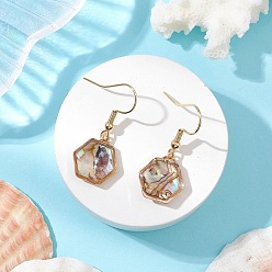 Шестиугольник Естественно Paua оболочки болтаться серьги, с 304 нержавеющей стали серьги крючки, золотые, шестиугольник, 31.5x13.5 мм