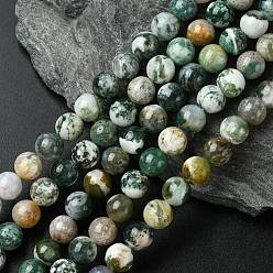 Древесный агат Натуральные древесные агатовые круглые бусины из драгоценных камней, 8.5 мм, отверстие : 1.2 мм, около 45~48 шт / нитка, 15 дюйм