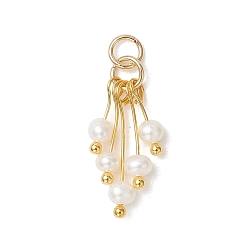 Золотой Подвески из натурального пресноводного жемчуга, Подвески-кисточки из картофельных бусин с 304 соединительными кольцами из нержавеющей стали, белые, золотые, 32.5 мм, отверстие : 3 мм