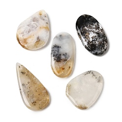 Африканский Опал Подвески с натуральным африканским опалом, разнообразные, 26~36x15~24x4~6 мм, отверстие : 1.2~3 мм