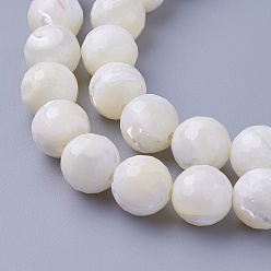 Дригие Морские Ракушки Стеклянные бусы нити, граненые, круглые, 10~10.3 мм, отверстие : 1.5 мм, около 40 шт / нитка, 15.86 дюйм (40.3 см)