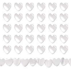 Seashell Color 1 Strand Natural Trochid Shell/Trochus Shell Beads Strands, Heart, Seashell Color, 6.5x6x2.5mm, Hole: 0.9mm, about 62pcs/strand, 14.80''(37.6cm)