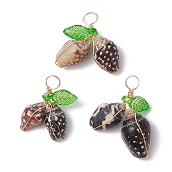 Кокосово-Коричневый Подвески из натуральной морской ракушки, обмотанные медной проволокой, с акриловым листом цвета зеленого лайма, золотые, кокосового коричневый, 15~21x16~21.5x5.5~8 мм, отверстие : 3.5 мм