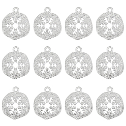 Платинированный 12 шт. Латунные подвески, плоские круглые со снежинкой, Реальная платина, 14x12x1 мм, отверстие : 1 мм