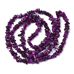 Purple Natural Freshwater Shell Beads Strands, Dyed, Chips, Purple, 2~6x4~14x4.5~8.5mm, Hole: 0.7~0.8mm, about 258~292pcs/strand, 31.10 inch~32.05 inch(79cm~81.4cm)