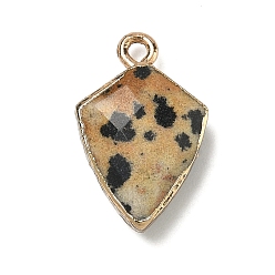 Далматинских Джаспер Природные яшмы далматин подвески, латунные щиты-талисманы, граненые, золотые, 19.5x12.5x6~6.5 мм, отверстие : 1.8 мм