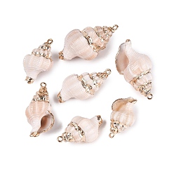 Blanco Antiguo Colgantes de concha espiral natural con adornos de latón dorado electrochapado, encantos de caracola, blanco antiguo, 28~42x18~23x15~22 mm, agujero: 1.6~1.8 mm