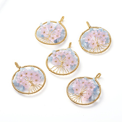 Аквамарин Подвески из натурального аквамарина, с золотыми тонами латунных находок и цветочными акриловыми бусинами, плоско-круглые, 62~66x50~52x10~15 мм, отверстие : 4 мм