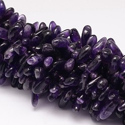 Amethyst Natural Amethyst Beads Strands, Chip, 11~28x6~8x4~6mm, Hole: 1mm, 15.35 inch