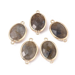 Labradorite Labradorite Links, with Golden Plated Brass Findings, Faceted, Oval, 22.5x13.5x5mm, Hole: 1.3mm