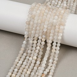 White Moonstone Натуральный белый лунный камень бисер пряди, граненые, круглые, 4 мм, отверстие : 0.7 мм, около 96 шт / нитка, 14.96"~15.35" (38~39 см)