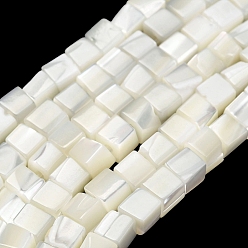Ghost White Natural Trochid Shell/Trochus Shell Beads Strands, Cube Beads, Ghost White, 4~4.5x4~4.5x4.5~5mm, Hole: 0.9mm, about 90pcs/strand, 15.59 inch(39.6cm)