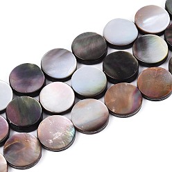 Верблюжий Природные морские раковины бисер нитей, плоско-круглые, верблюжие, 12.5x2.5 мм, отверстие : 1.2 мм, около 30 шт / нитка, 14.65'' (37.2 см)