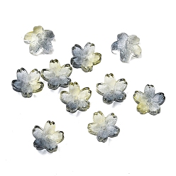 Темно-серый Окрашенные и нагретые стеклянные колпачки для бусин, 5-лепестков цветка, темно-серый, 10.5x11x4.7 мм, отверстие : 1 мм