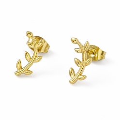 Золотой Вакуумное покрытие pvd 304 серьги-гвоздики из нержавеющей стали с маленькими листьями и веточками для женщин, золотые, 13x6.5 мм, штифты : 0.8 мм