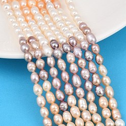 Mixed Color Three Color Natural Cultured Freshwater Pearl Beads Strands, Rice, Grade 3A, Mixed Color, 5~6mm, Hole: 0.5mm, about 51~52pcs/strand, 13.78''(35cm)
