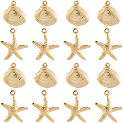Золотой 64 шт. 2 стили 316 подвески из хирургической нержавеющей стали, подвеска в форме ракушки/морской звезды, золотые, 14~18.5x13.5~15.5x2.5~4 мм, отверстие : 1~1.2 мм, 32 шт / стиль