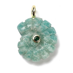 Амазонит Природные подвески амазонит, подвески-ракушки с покрытием из золотистой латуни с микропаве из кубических цирконий, 32~32.5x22.5~23x9~10 мм, отверстие : 4 мм