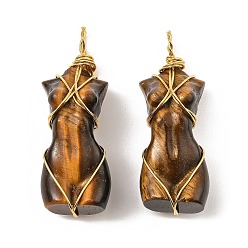 Тигровый глаз Природных тигровый глаз подвески, с золотистым тоном покрытия стойки обмотка латунной проволокой, долговечный, без свинца и без кадмия, человек, 52x18.5x2.2 мм, отверстие : 4.8 мм