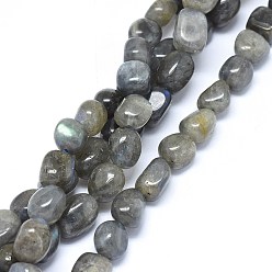 Labradorite Natural Labradorite Beads Strands, Cuboid, 9~15x8~10mm, Hole: 0.8mm, about 34~36pcs/strand, 14.9 inch