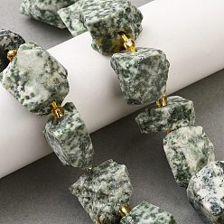 Камень с Зелеными Точками Необработанные грубые натуральные зеленые пятна яшмы бусины нити, самородки, с бисером, 14~28x15~25x10~27 мм, отверстие : 1.2~1.4 мм, около 9~10 шт / нитка, 7.76''~8.07'' (19.7~20.5 см)