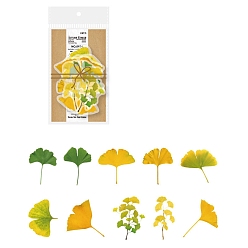 Yellow Green Autumn Leaf PET Sticker Labels, Self-adhesion, for Suitcase, Skateboard, Refrigerator, Helmet, Mobile Phone Shell, Yellow Green, 70~100mm, 10pcs/set