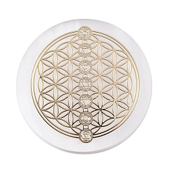 Flower Flat Round Natural Selenite Slice Coasters, Reiki Stone for Chakra Balance, Crystal Healing , Flower, 59.5~64x6.5~8mm