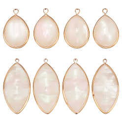 Mixed Shapes 8шт 2 стили подвески из искусственной смолы с ракушками, с фурнитурой латунной золотого тона, цвет морской раковины, разнообразные, 22.5~31.5x14.5~15.5x4~4.5 мм, отверстие : 1.6~2 мм, 4 шт / стиль