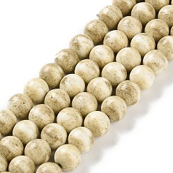 Светло-хаки Натуральные бусины из радужного алашанского агата, окрашенные, два тона, круглые, светлый хаки, 6 мм, отверстие : 0.8 мм, около 67 шт / нитка, 15.94 дюйм (40.5 см)
