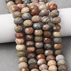 Alashan Agate Бусы из натурального алашанского агата, рондель, граненые, 8x5.5~6 мм, отверстие : 1 мм, около 62 шт / нитка, 15.04'' (38.2 см)