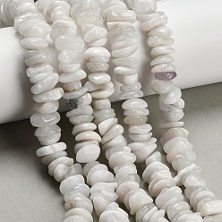 Rainbow Moonstone Бусины из натурального радужного лунного камня, чип, 9~14x8~13x3~6 мм, отверстие : 0.7~0.9 мм, около 96~107 шт / нитка, 15.43~15.71'' (39.2~39.9 см)