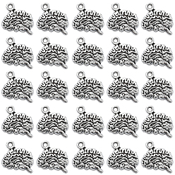 Античное Серебро 100Шармы из сплава в тибетском стиле, без свинца и без кадмия, головной мозг, античное серебро, 12.5x14x3 мм, отверстие : 1.5 мм