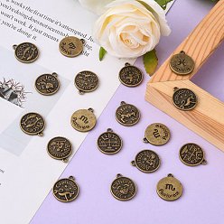 Antique Bronze Tibetan Style Alloy Pendants, Flat Round with Mixed Constellation/Zodiac Sign, Cadmium Free & Nickel Free & Lead Free, Antique Bronze, 20x17x2mm, Hole: 2mm, about 175pcs/500g