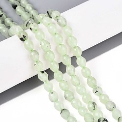 Пренит Природные пренит нитей бисера, баррель, граненые, 5.5~6.5x5~5.5 мм, отверстие : 1~1.2 мм, около 57~61 шт / нитка, 13.98~14.17'' (35.5~36 см)