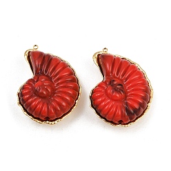 Красный 304 подвески из нержавеющей стали, с акриловой, форма раковины, реальный 18 k позолоченный, ионное покрытие (ip), красные, 47.5x35x18 мм, отверстие : 1.8 мм