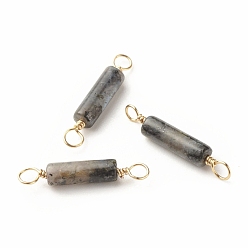 Larvikite Natural Larvikite Connector Charms, with Light Gold Eco-Friendly Copper Wire Wrapped, Column, 22~23.5x4mm, Hole: 2.2~2.4mm