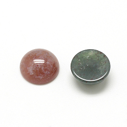 Indian Agate Natural Indian Agate Cabochons, Half Round/Dome, 12x5mm