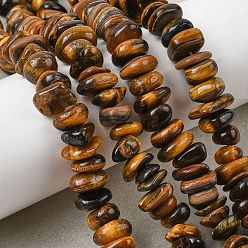 Тигровый глаз Природных тигровый глаз бисер нитей, самородки, 8~17.5x7~14x2~5 мм, отверстие : 0.8 мм, 15.55~15.94'' (39.5~40.5 см)