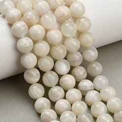 White Moonstone Натуральный белый лунный камень бисер пряди, гладкий круглый, 10~10.5 мм, отверстие : 1 мм, около 39 шт / нитка, 15.75'' (40 см)