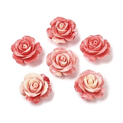 Помидор Резные бусины из синтетического коралла, цветок, помидор, 21x12 мм, отверстие : 1.4 мм